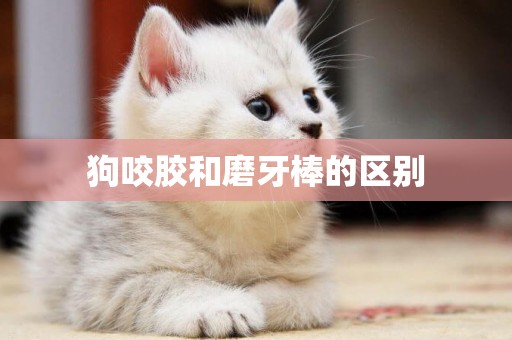 狗咬膠和磨牙棒的區別