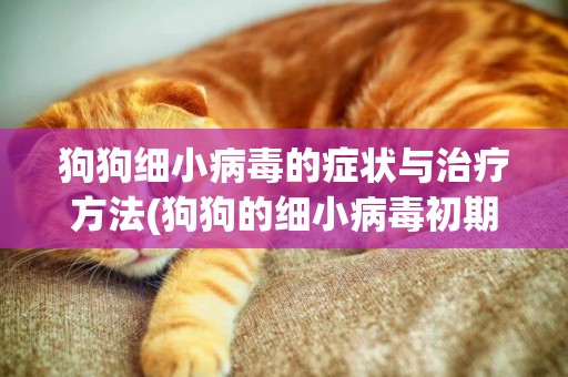 狗狗細小病毒的癥狀與治療方法(狗狗的細小病毒初期癥狀) 