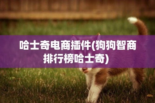 哈士奇電商插件(狗狗智商排行榜哈士奇) 