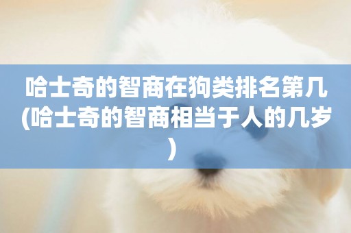 哈士奇的智商在狗類排名第幾(哈士奇的智商相當于人的幾歲) 