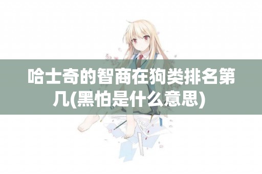 哈士奇的智商在狗類排名第幾(黑怕是什么意思) 