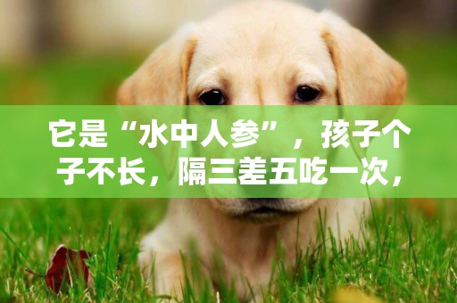 它是“水中人參”，孩子個子不長，隔三差五吃一次，個子直往上蹭 