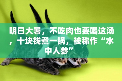 明日大暑，不吃肉也要喝這湯，十塊錢煮一鍋，被稱作“水中人參” 
