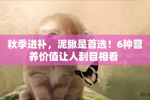 秋季進補，泥鰍是首選！6種營養價值讓人刮目相看 