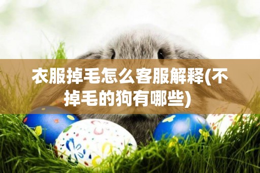 衣服掉毛怎么客服解釋(不掉毛的狗有哪些) 
