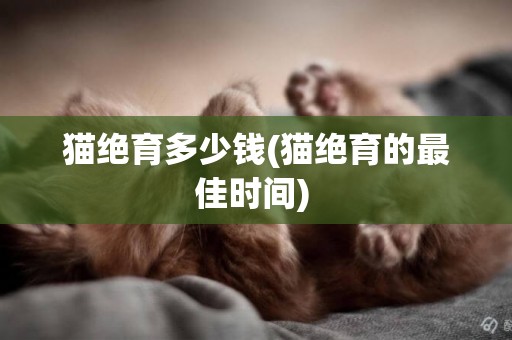 貓絕育多少錢(貓絕育的最佳時間) 