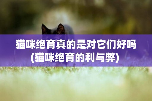 貓咪絕育真的是對它們好嗎(貓咪絕育的利與弊) 