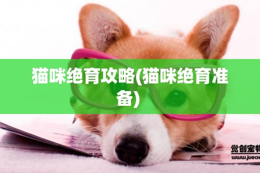 貓咪絕育攻略(貓咪絕育準備) 