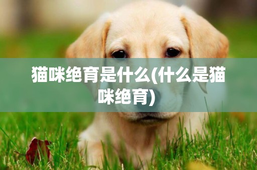 貓咪絕育是什么(什么是貓咪絕育) 