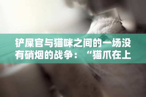 鏟屎官與貓咪之間的一場沒有硝煙的戰爭：“貓爪在上” 