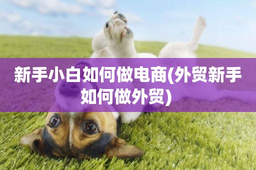 新手小白如何做電商(外貿新手如何做外貿) 