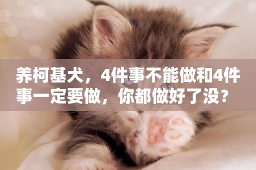 養柯基犬，4件事不能做和4件事一定要做，你都做好了沒？ 