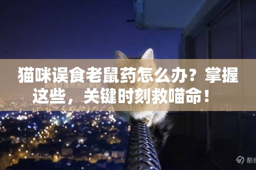 貓咪誤食老鼠藥怎么辦？掌握這些，關鍵時刻救喵命！ 