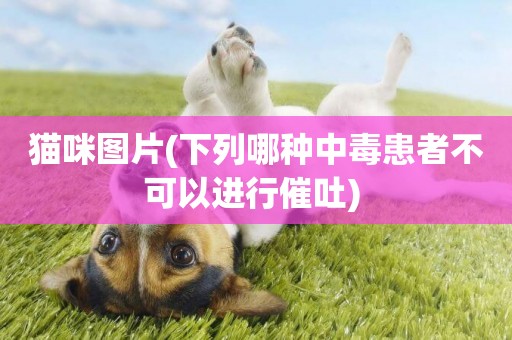 貓咪圖片(下列哪種中毒患者不可以進行催吐) 