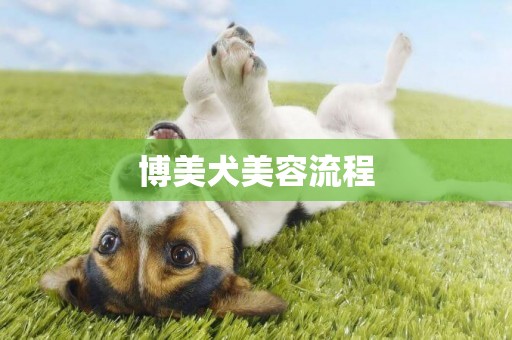 博美犬美容流程