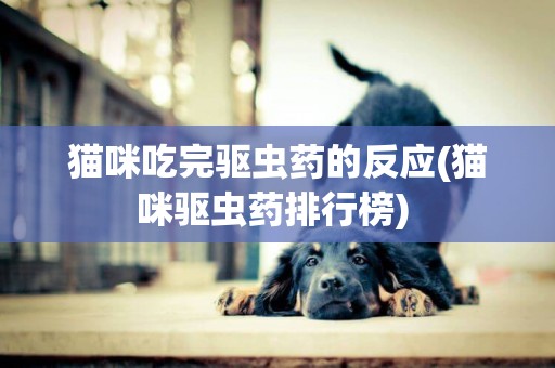 貓咪吃完驅蟲藥的反應(貓咪驅蟲藥排行榜) 
