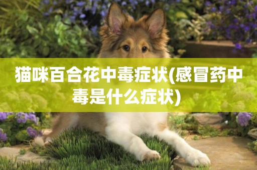 貓咪百合花中毒癥狀(感冒藥中毒是什么癥狀) 