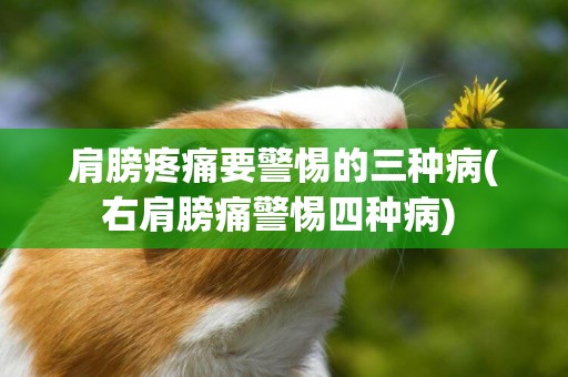 肩膀疼痛要警惕的三種病(右肩膀痛警惕四種病) 