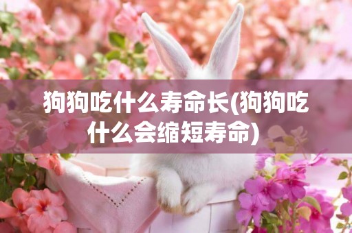 狗狗吃什么壽命長(狗狗吃什么會縮短壽命) 