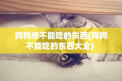 狗狗絕不能吃的東西(狗狗不能吃的東西大全) 