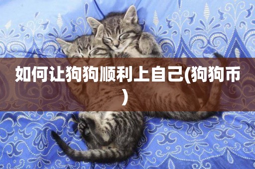 如何讓狗狗順利上自己(狗狗幣) 