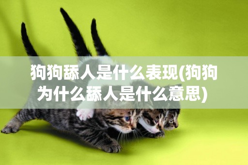 狗狗舔人是什么表現(狗狗為什么舔人是什么意思) 