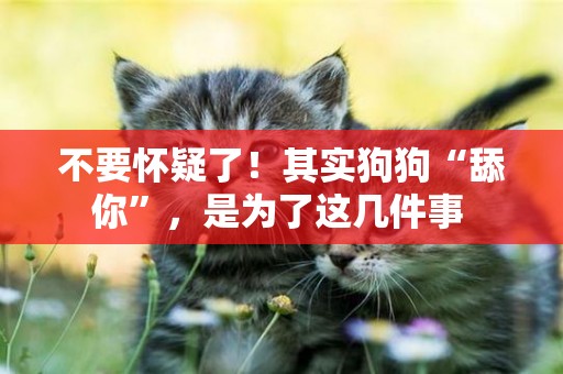 不要懷疑了！其實狗狗“舔你”，是為了這幾件事 