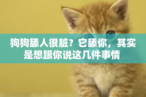狗狗舔人很臟？它舔你，其實是想跟你說這幾件事情 