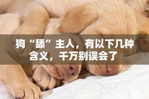 狗“舔”主人，有以下幾種含義，千萬別誤會了 