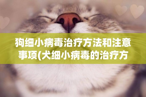 狗細小病毒治療方法和注意事項(犬細小病毒的治療方法及預防措施) 