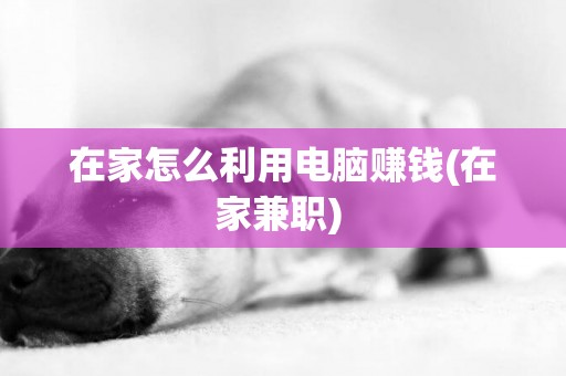 在家怎么利用電腦賺錢(在家兼職) 