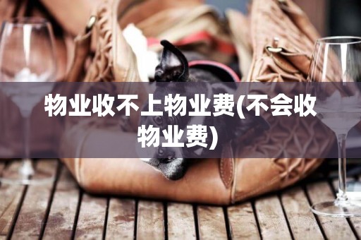 物業收不上物業費(不會收物業費) 