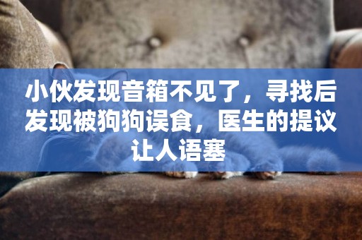 小伙發現音箱不見了，尋找后發現被狗狗誤食，醫生的提議讓人語塞 