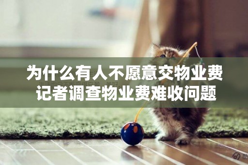 為什么有人不愿意交物業費 記者調查物業費難收問題 