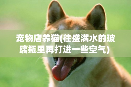 寵物店養貓(往盛滿水的玻璃瓶里再打進一些空氣) 