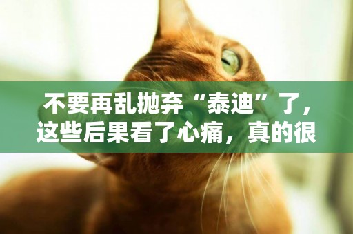 不要再亂拋棄“泰迪”了，這些后果看了心痛，真的很過分 