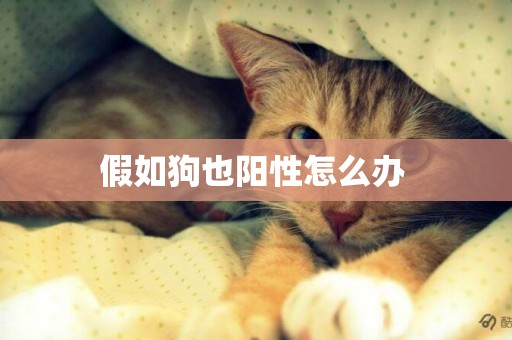 假如狗也陽性怎么辦 