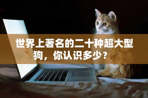 世界上著名的二十種超大型狗，你認識多少？ 
