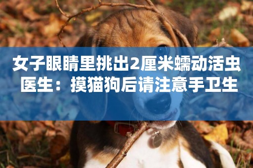 女子眼睛里挑出2厘米蠕動活蟲 醫生：摸貓狗后請注意手衛生 