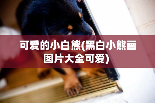 可愛的小白熊(黑白小熊畫圖片大全可愛) 