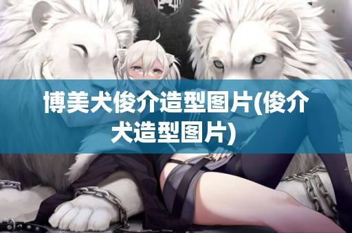 博美犬俊介造型圖片(俊介犬造型圖片) 
