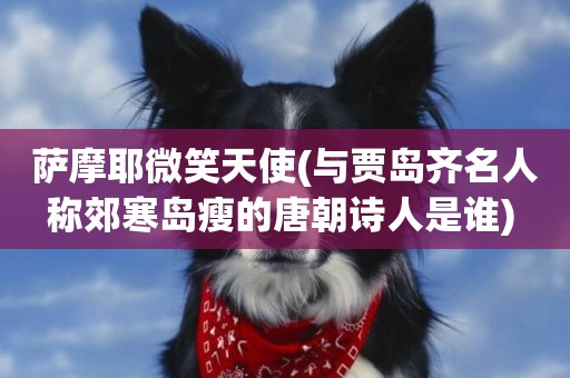 薩摩耶微笑天使(與賈島齊名人稱郊寒島瘦的唐朝詩人是誰) 