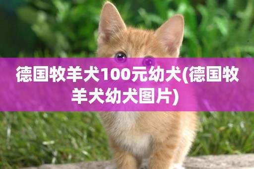 德國牧羊犬100元幼犬(德國牧羊犬幼犬圖片) 