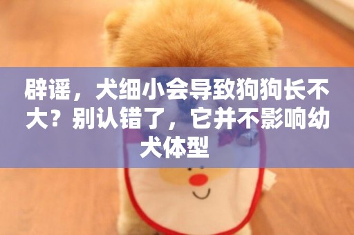 辟謠，犬細小會導致狗狗長不大？別認錯了，它并不影響幼犬體型 