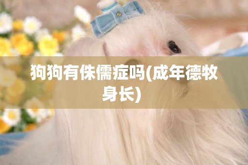 狗狗有侏儒癥嗎(成年德牧身長) 