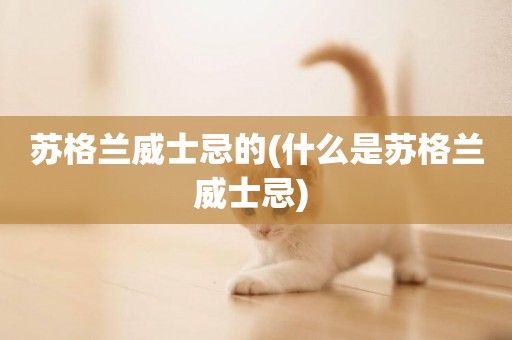 蘇格蘭威士忌的(什么是蘇格蘭威士忌) 