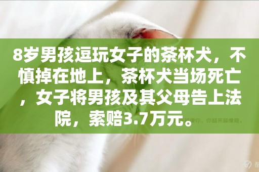 8歲男孩逗玩女子的茶杯犬，不慎掉在地上，茶杯犬當場死亡，女子將男孩及其父母告上法院，索賠3.7萬元。 