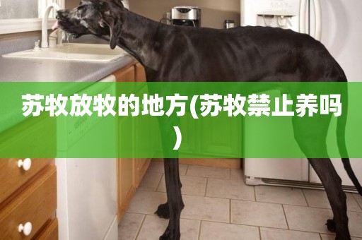 蘇牧放牧的地方(蘇牧禁止養嗎) 
