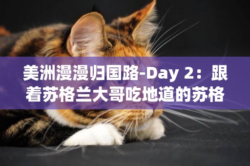 美洲漫漫歸國路-Day 2：跟著蘇格蘭大哥吃地道的蘇格蘭早餐 