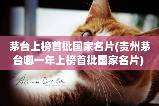 茅臺上榜首批國家名片(貴州茅臺哪一年上榜首批國家名片) 